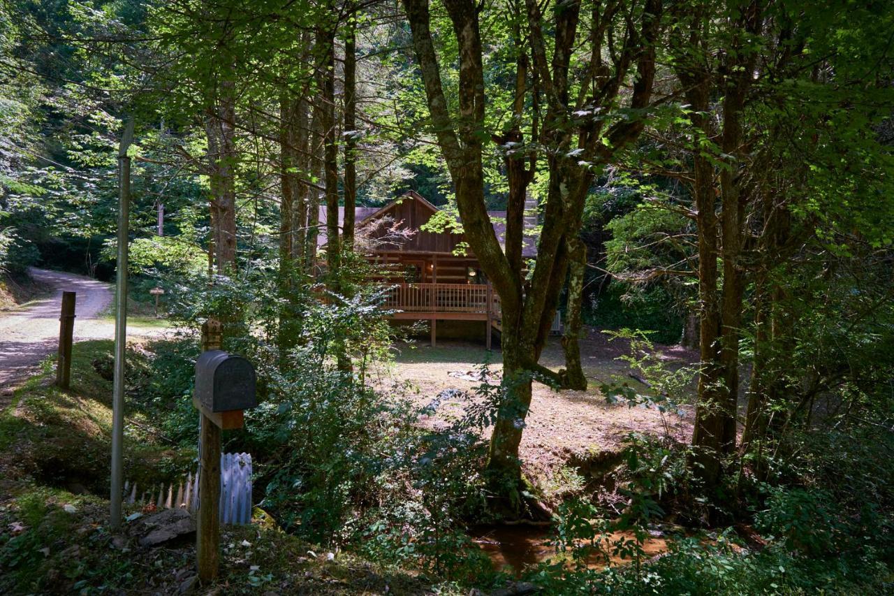 A Cabin In The Woods Pigeon Forge Exteriér fotografie
