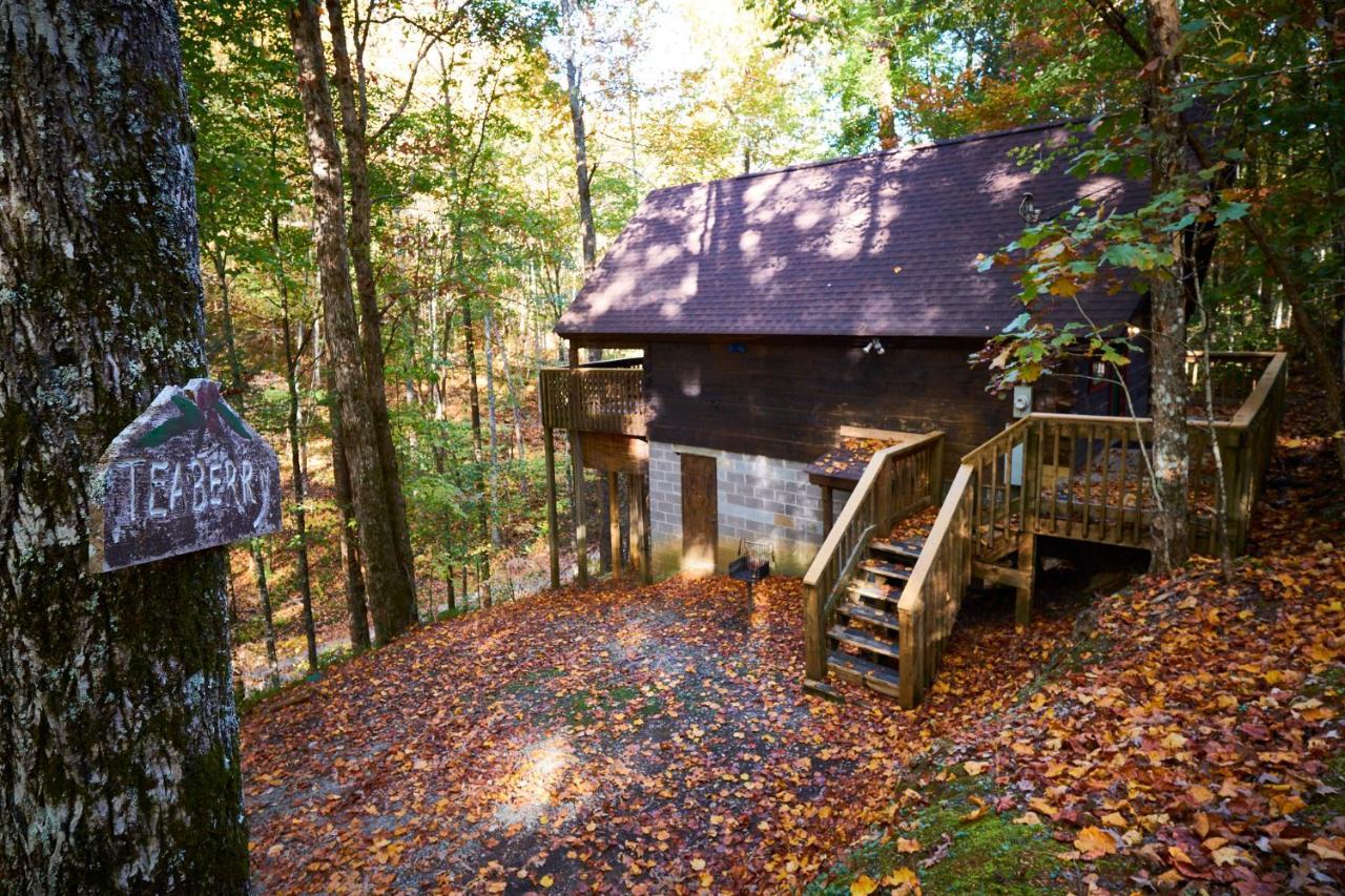 A Cabin In The Woods Pigeon Forge Exteriér fotografie